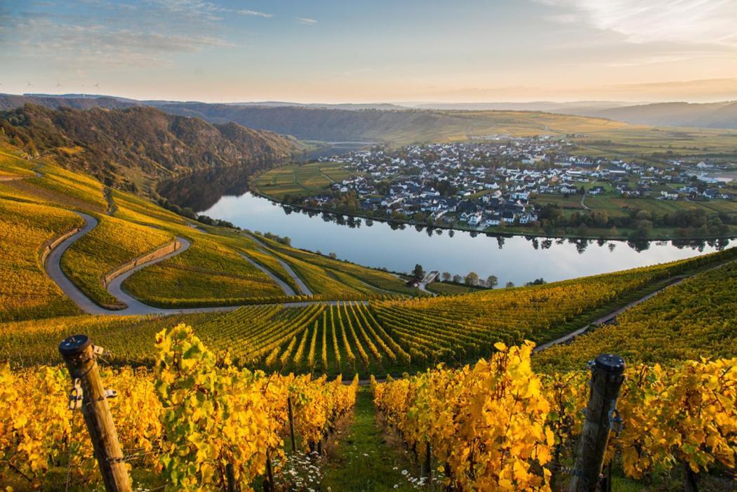 Hotel- Weingut- Moselloreley Piesport Εξωτερικό φωτογραφία